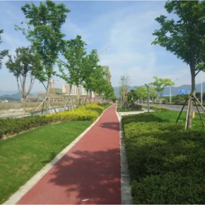 小区园林绿化